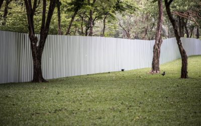 Clean Up Your Front Yard With A Junk Removal Contractor