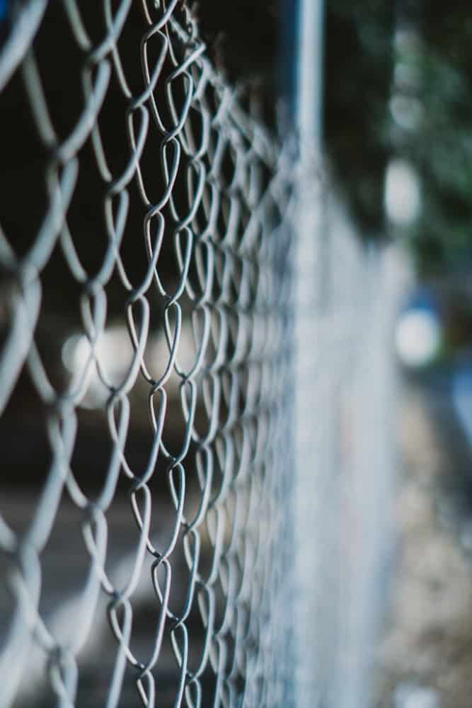affordable fencing raleigh yard