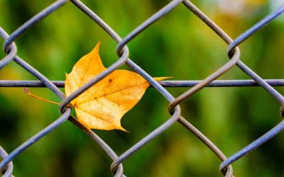 Chain Link Fence Solutions and How To Find Them